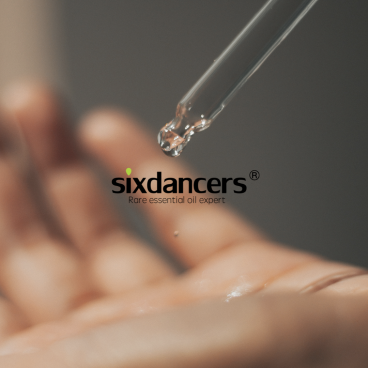 sixdancers1.1